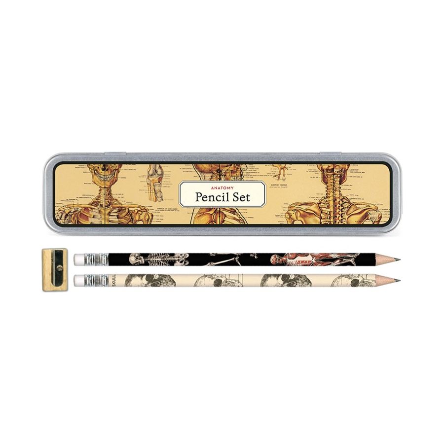 Cavallini & Co. Pencil Set Anatomy